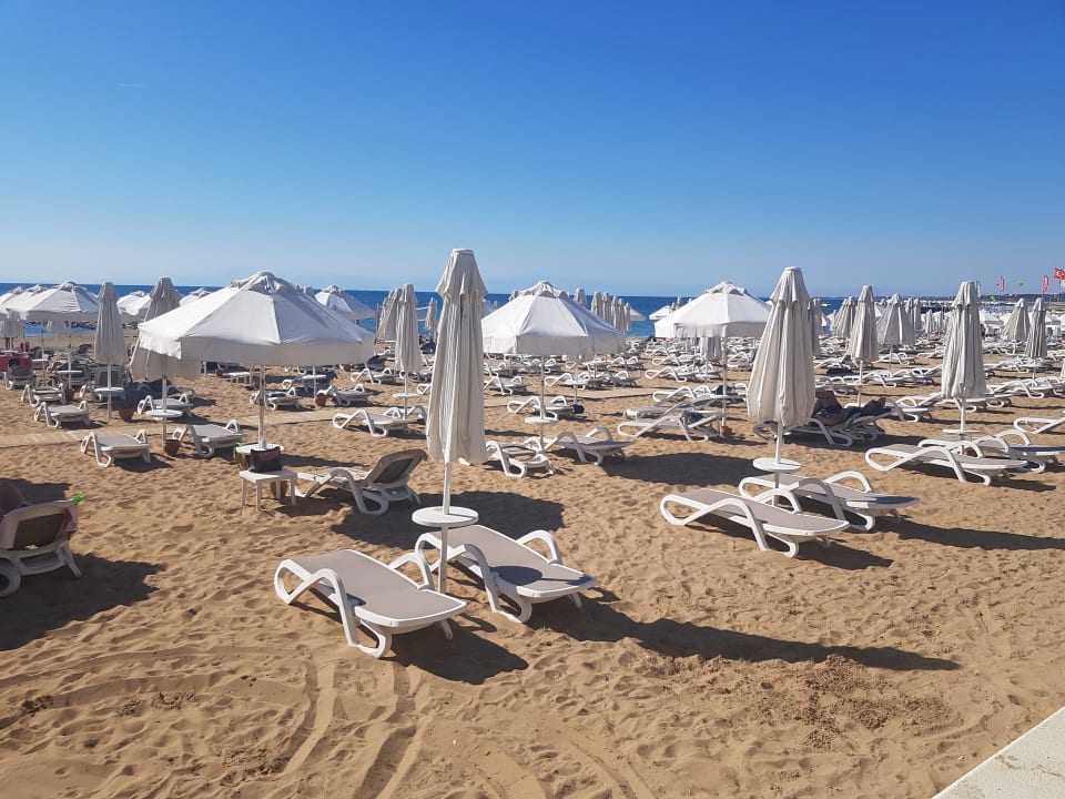 Strand PALOMA Perissia