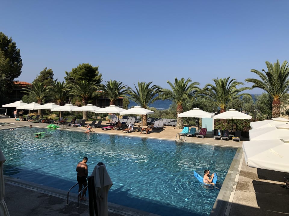 Pool Blue Dolphin Resort Hotel