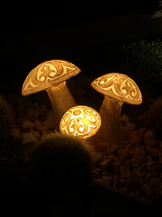 Gartenanlage Malikia Resort Abu Dabbab