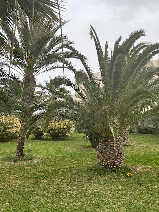 Gartenanlage TUI MAGIC LIFE Penelope Beach