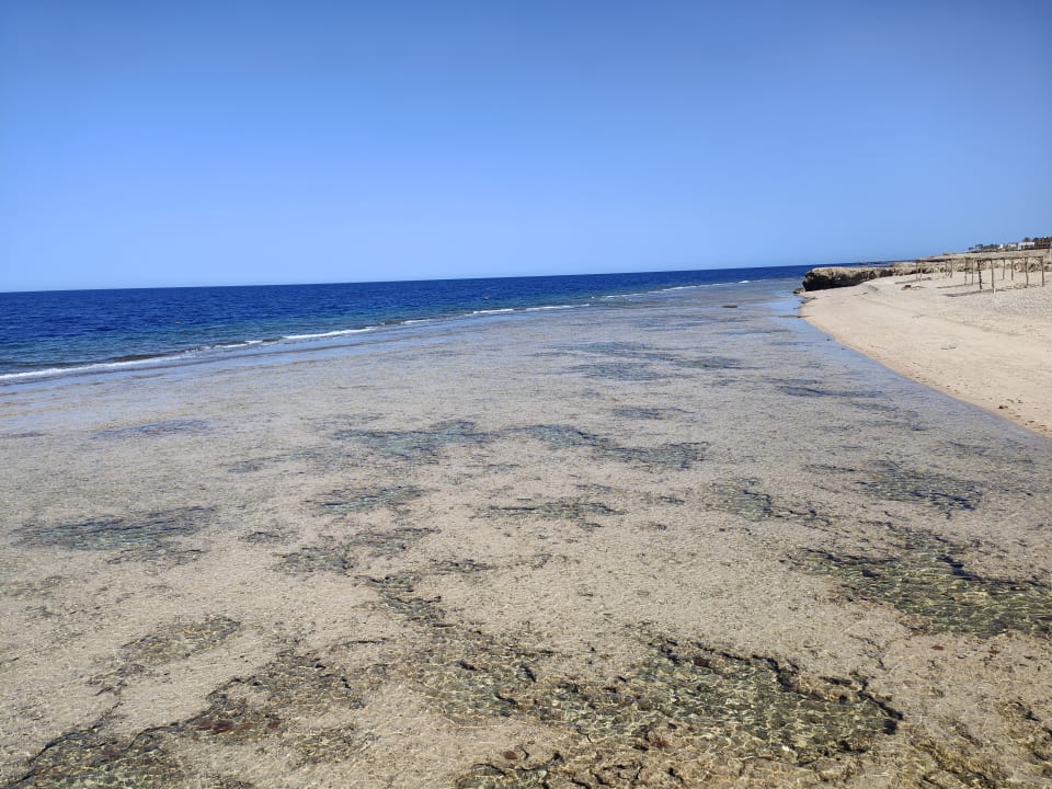 Strand Steigenberger Coraya Beach - Adults only