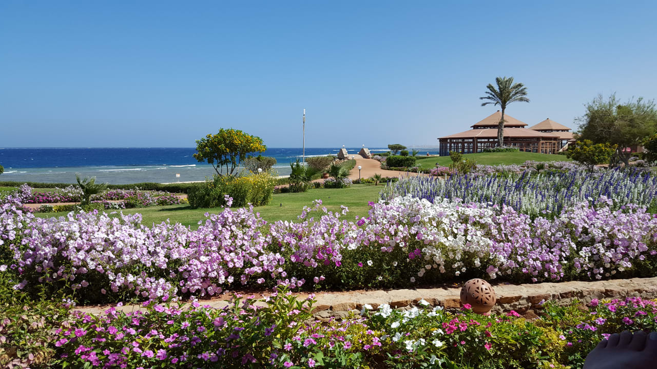 Gartenanlage Three Corners Equinox Beach Resort