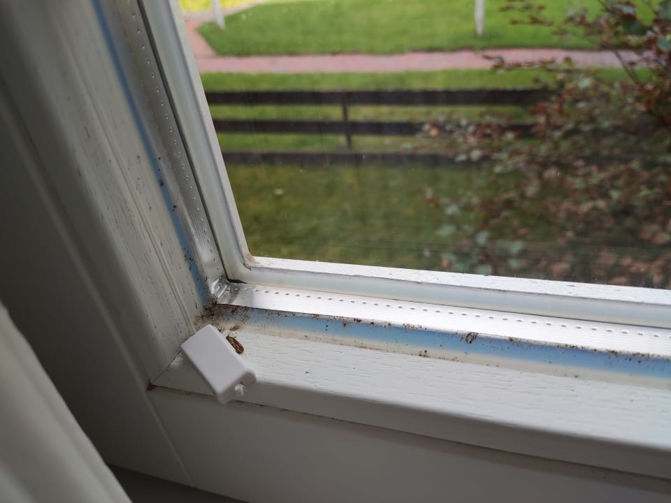 Zimmer Ferienwohnungen Us Langeoog