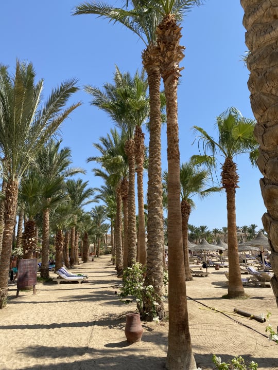 Strand Brayka Bay Resort