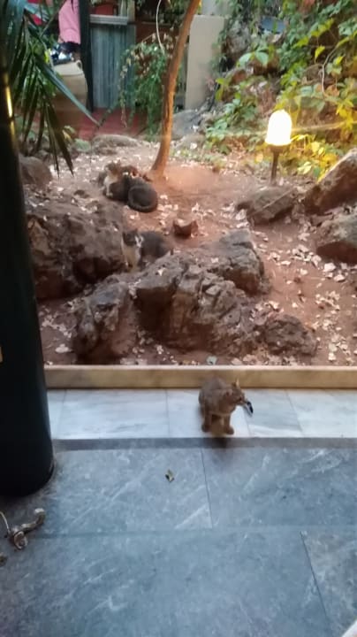 Gartenanlage Apollon Hotel