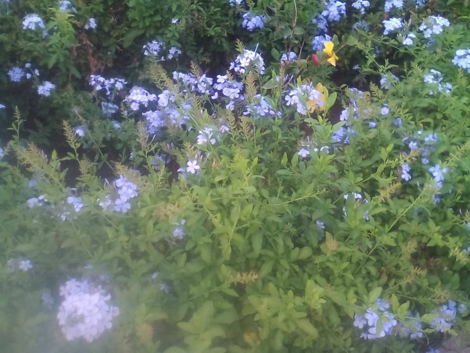 Good Shams Safaga Resort