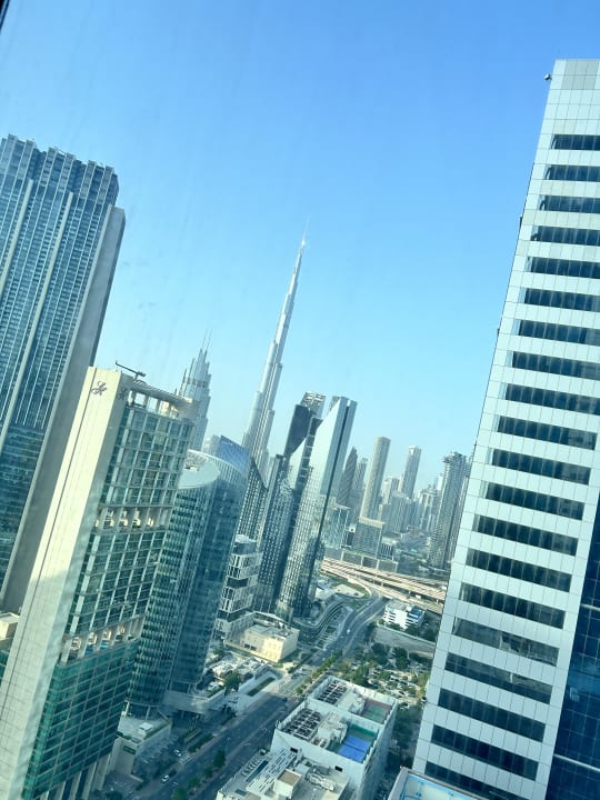 Ausblick Rose Rayhaan by Rotana