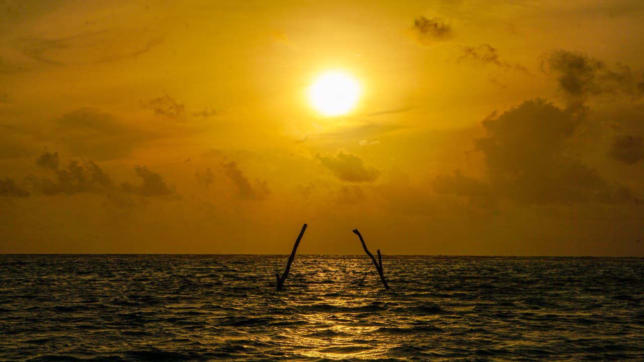 Ausblick Summer Island Maldives