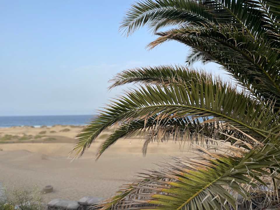 Strand Hotel Riu Palace Palmeras