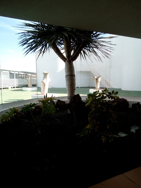 Gartenanlage Hotel Riu Paraiso Lanzarote