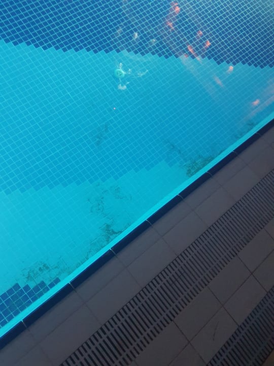 Pool Well Palace Side