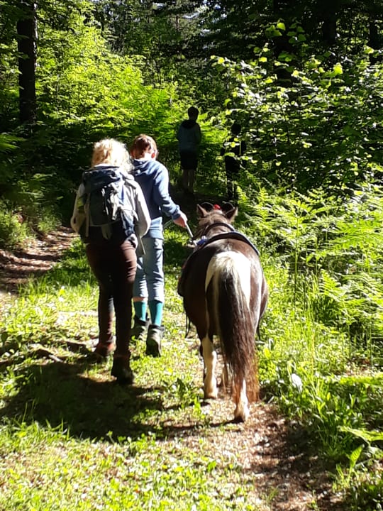 Sport & Freizeit Urlaubsbauernhof Wabnig