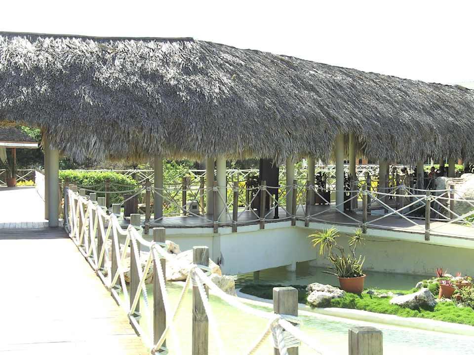 Royalton Hicacos Resort & Spa Royalton Hicacos Resort & Spa - Adults only