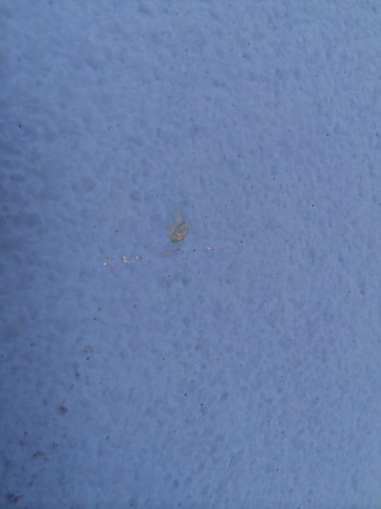 Popel an Zimmerwand Gloria Palace San Agustin Thalasso & Hotel