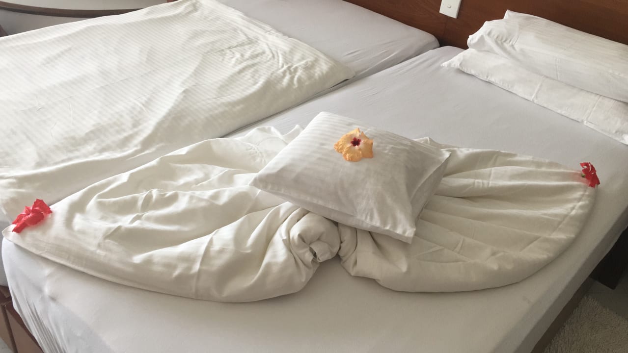 Zimmer Hotel Lanka Princess Ayurveda