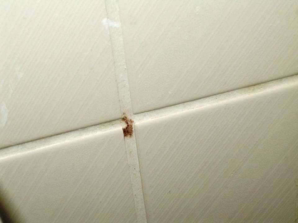 Getr. Blut oder? neben dem Waschbecken Hotel zur Heideblüte
