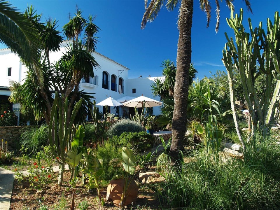 Garten Finca La Colina