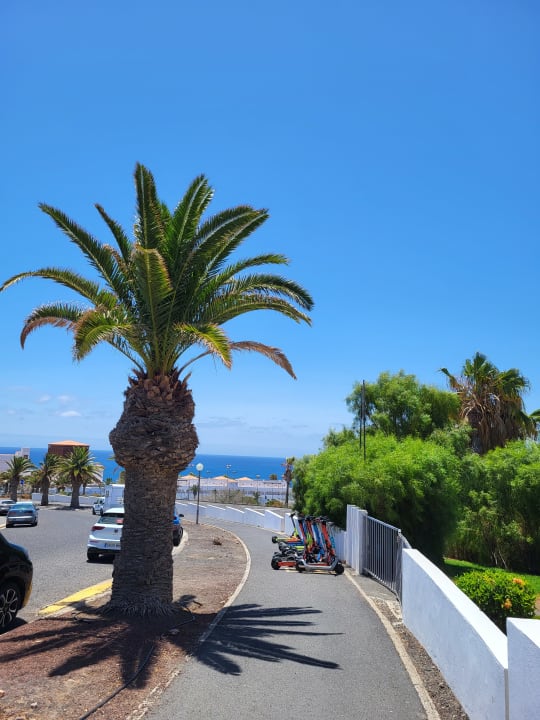 Ausblick allsun App.-Hotel Esquinzo Beach