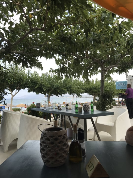 Gartenanlage Corissia Beach Hotel