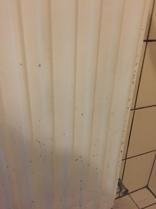 Zimmer Ferienwohnungen Lindenhof