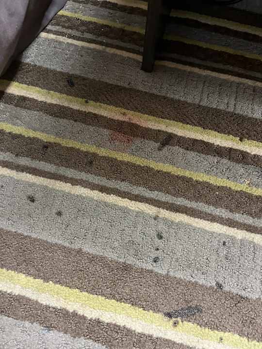 Zimmer Hotel Super 8 Groton