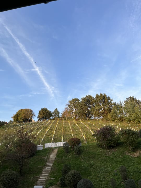 Gartenanlage Wilfinger Bio Thermen Hotel