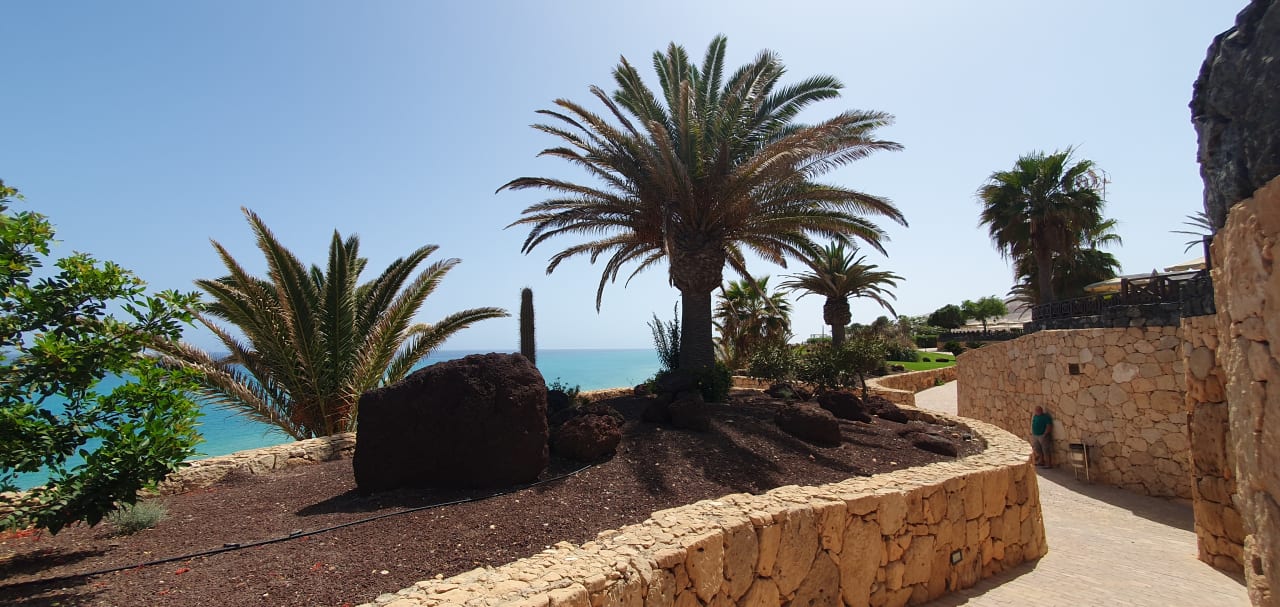 Gartenanlage R2 Pajara Beach