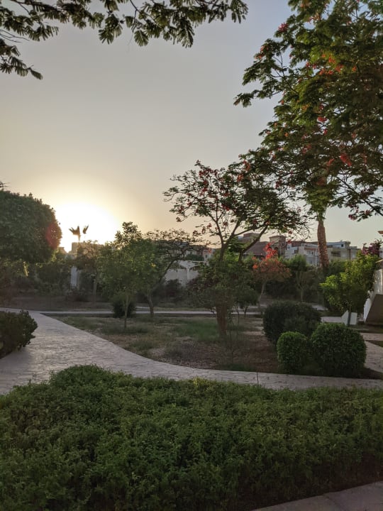 Gartenanlage Lotus Bay Beach Resort