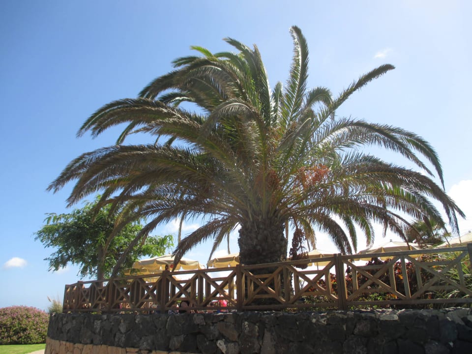 Außenansicht Poolanlage R2 Pajara Beach