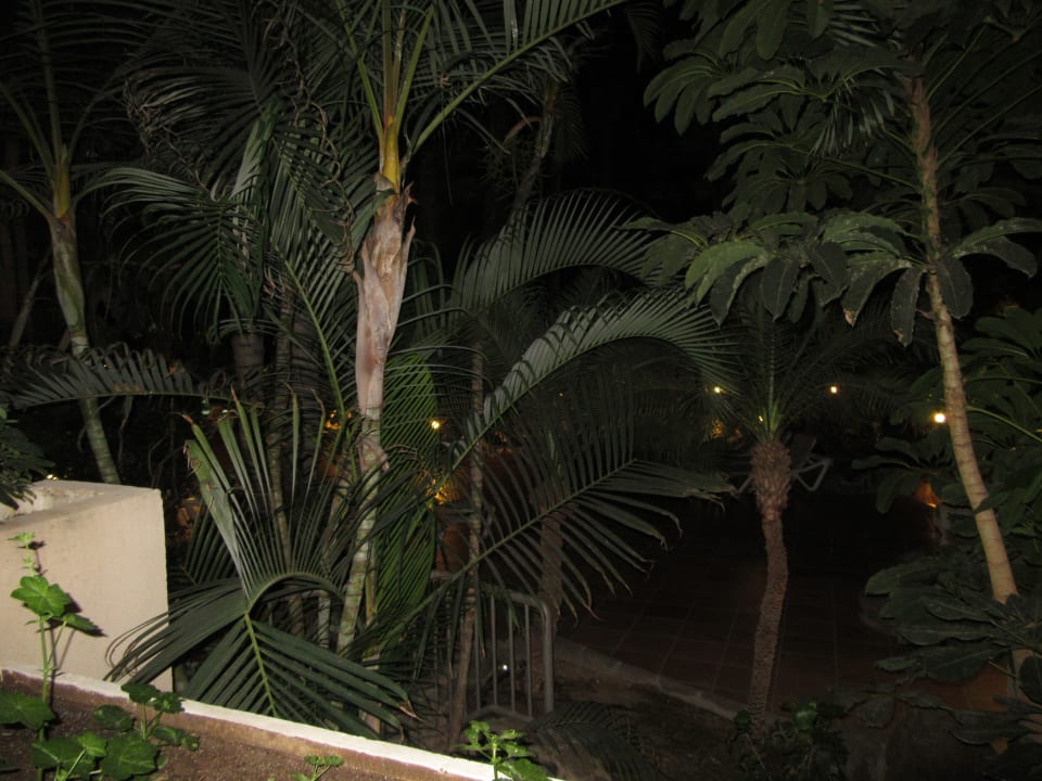 Ausblick Tabaiba Princess