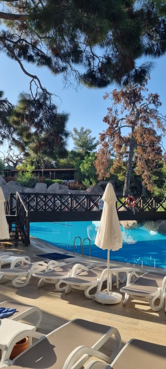 Pool Blue Waters Club