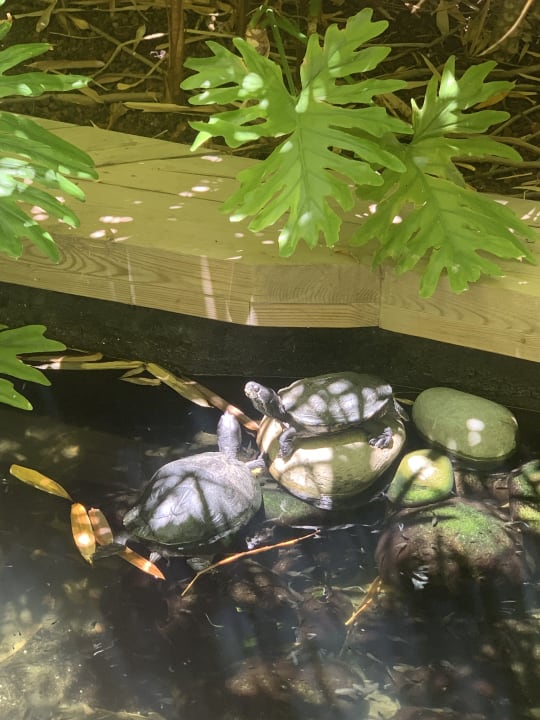 Sonstiges Lopesan Baobab Resort