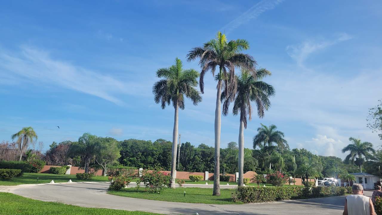 Außenansicht Viva Fortuna Beach by Wyndham - All Inclusive Resort