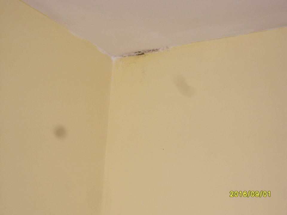 Schimmel an der Zimmerdecke Berghotel Holzer