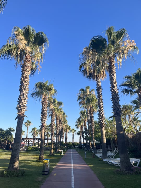 Gartenanlage Saturn Palace Resort Hotel