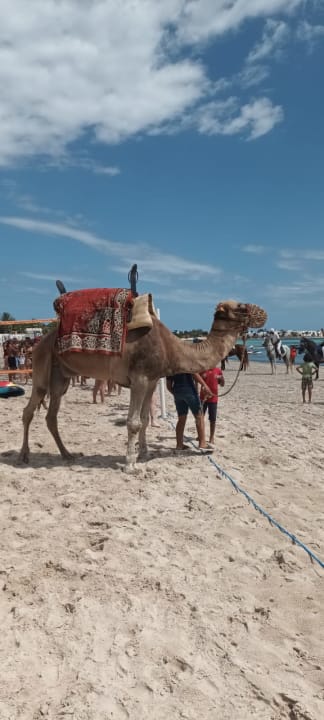 Strand Royal Karthago Djerba