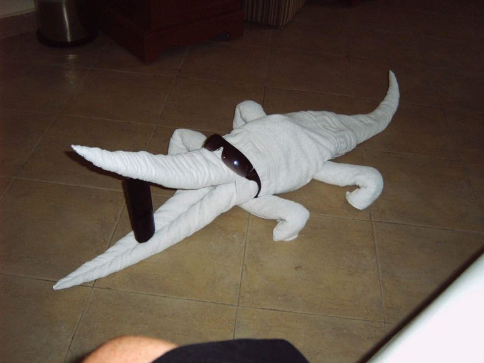 Wilde Tiere Titanic Beach Spa & Aqua Park