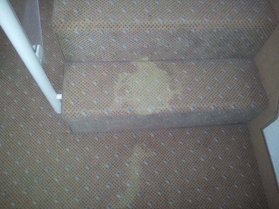 Teppich mit undefinierbarem Fleck - Tellergröße Best Western Ahorn Hotel Oberwiesenthal - Adults only