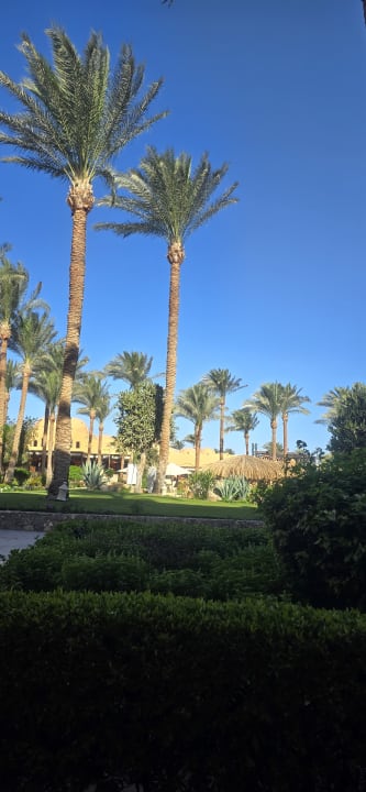 Gartenanlage Jaz Makadi Oasis Resort