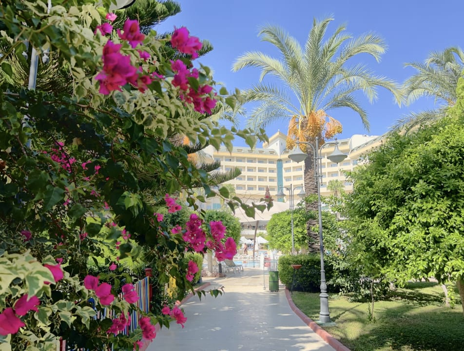 Außenansicht Saphir Resort & Spa