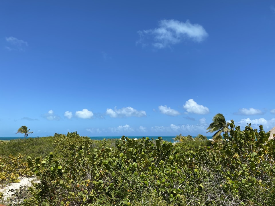 Ausblick Grand Palladium Select Costa Mujeres - All Inclusive