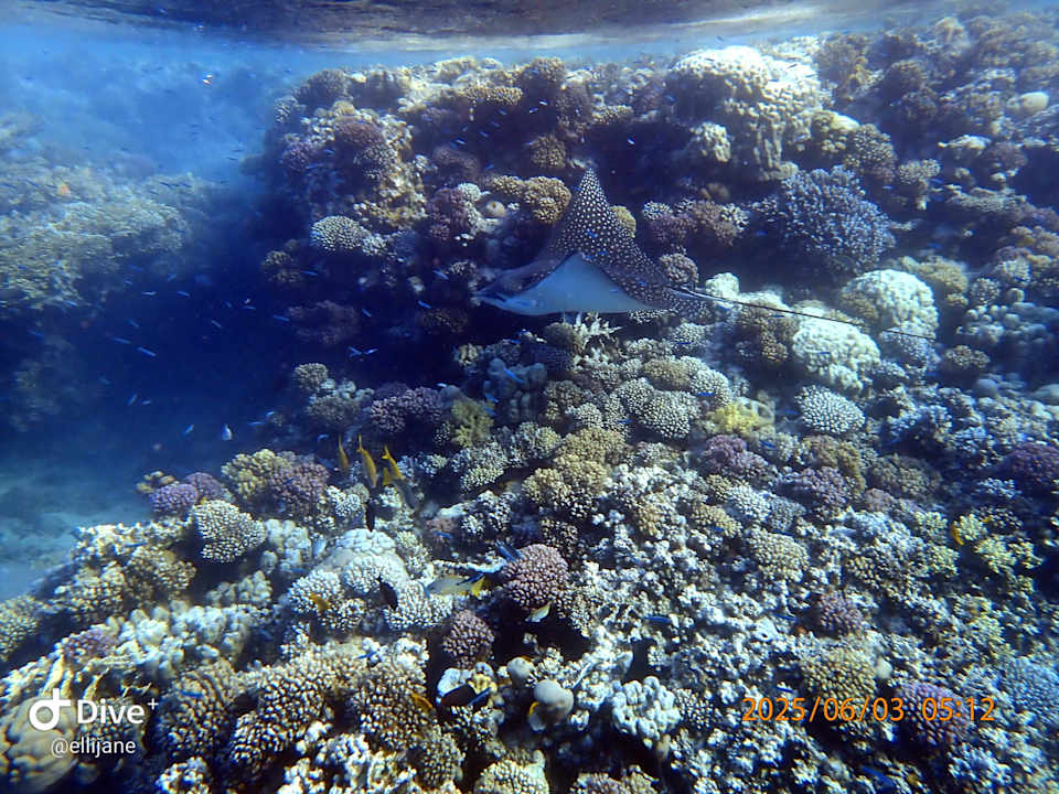 Strand Makadi Spa - Adults only