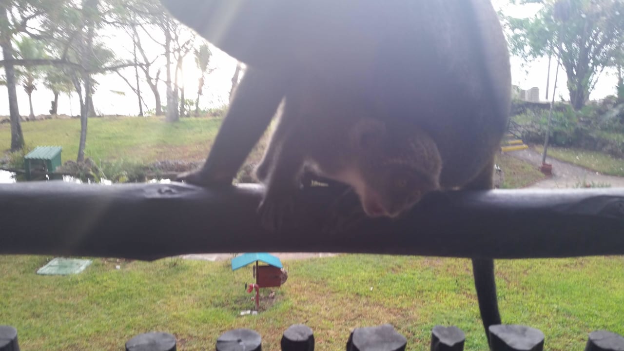 Hotel Baobab Beach Resort Baobab Beach Resort & Spa