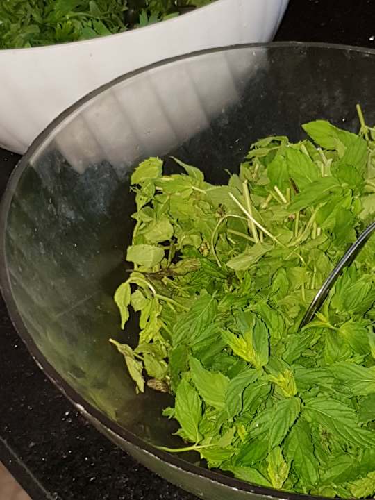 Gastro Hotel Ideal Beach