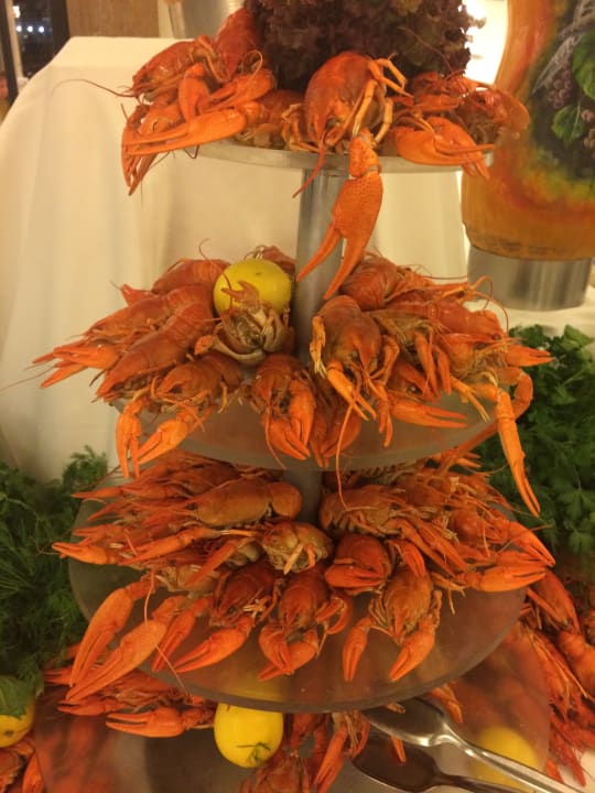 Gastro Hotel Delphin Imperial