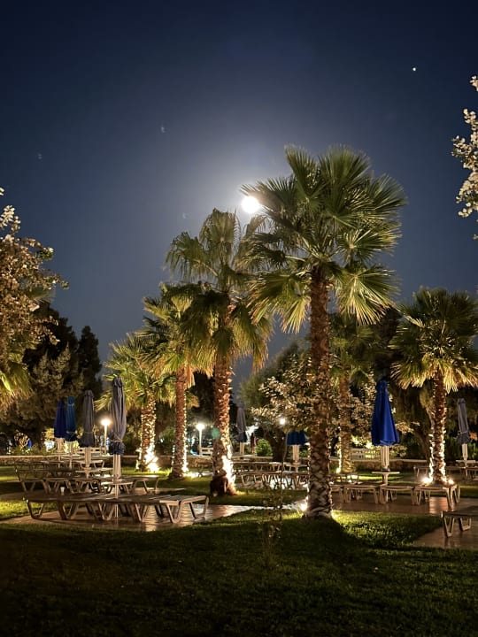 Gartenanlage Esperides Beach Resort