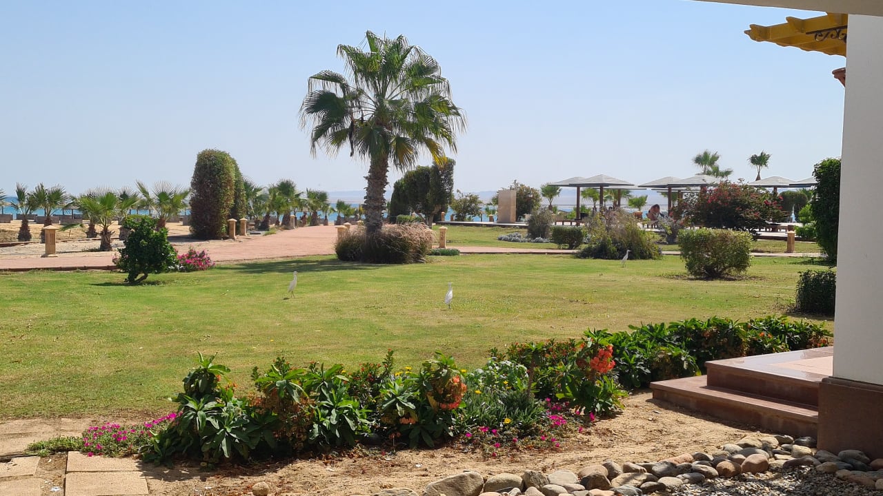 Gartenanlage Lahami Bay Beach Resort