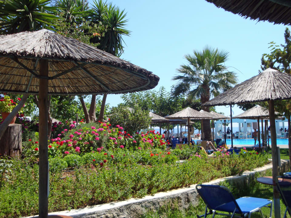 Gepflegte Wohlfühloase Corissia Beach Hotel