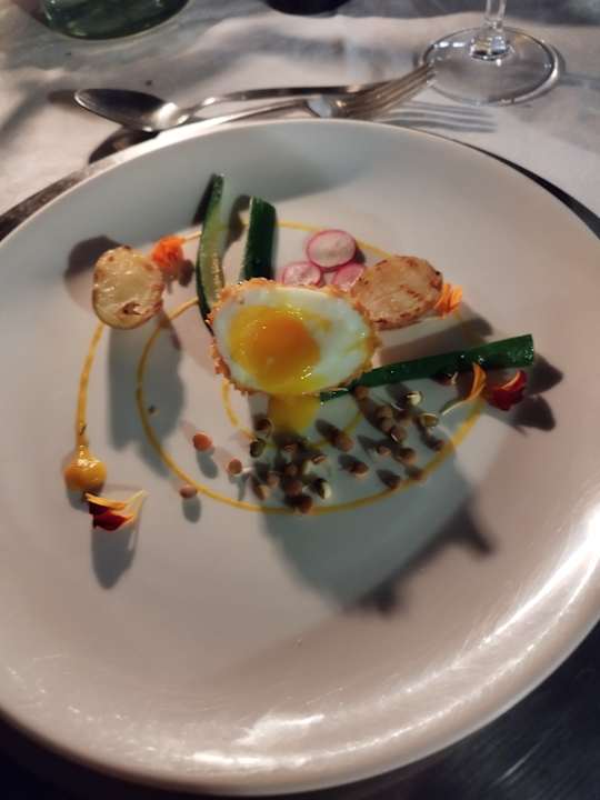 Gastro Hamiltons Tented Camp - Lodge