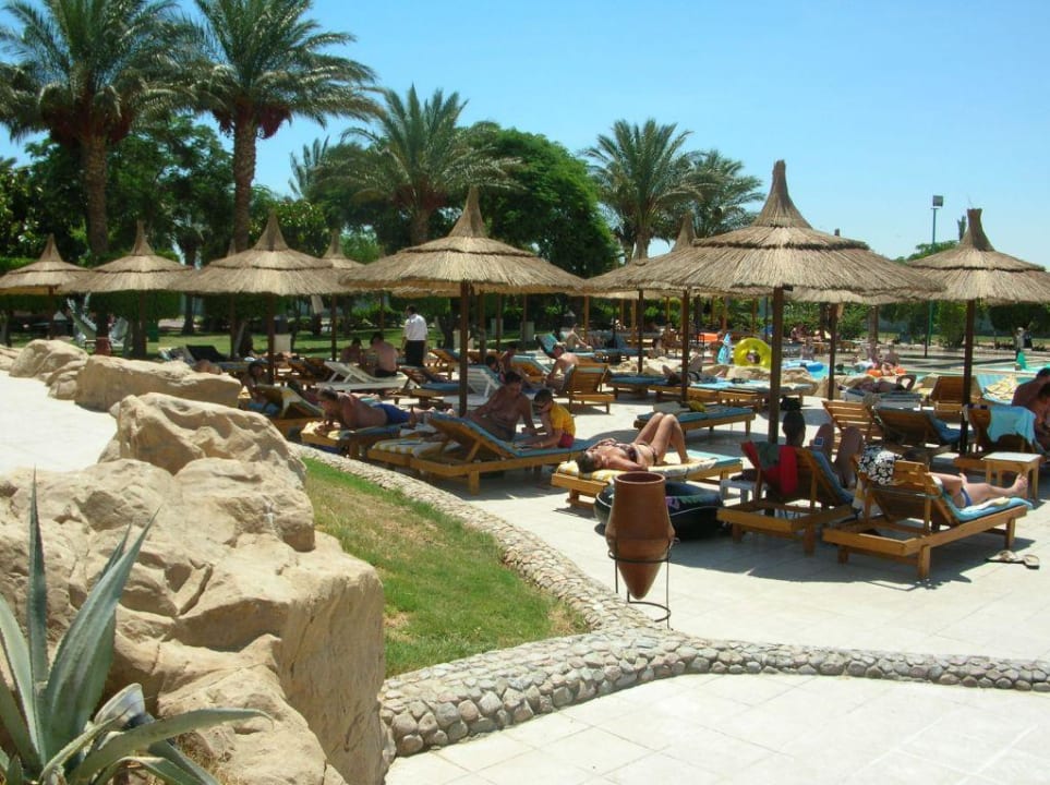 Pooanlage Beach Albatros Resort